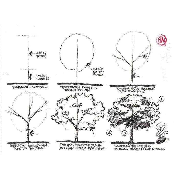 Detail Sketsa Gambar Pohon Nomer 17