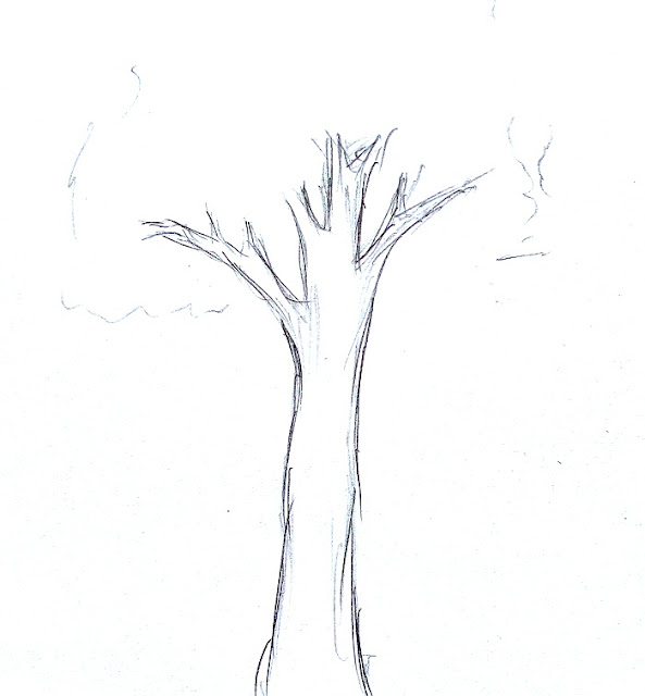 Detail Sketsa Gambar Pohon Nomer 24