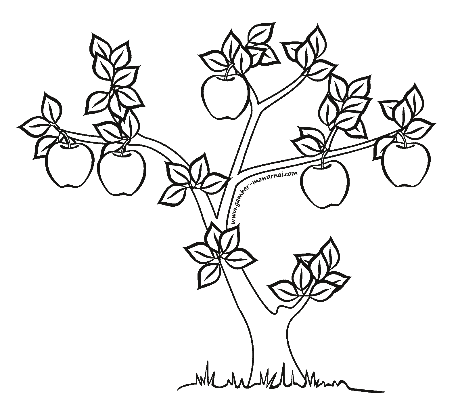 Detail Sketsa Gambar Pohon Mangga Nomer 17