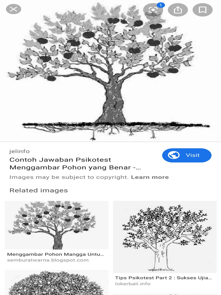 Detail Sketsa Gambar Pohon Mangga Nomer 26