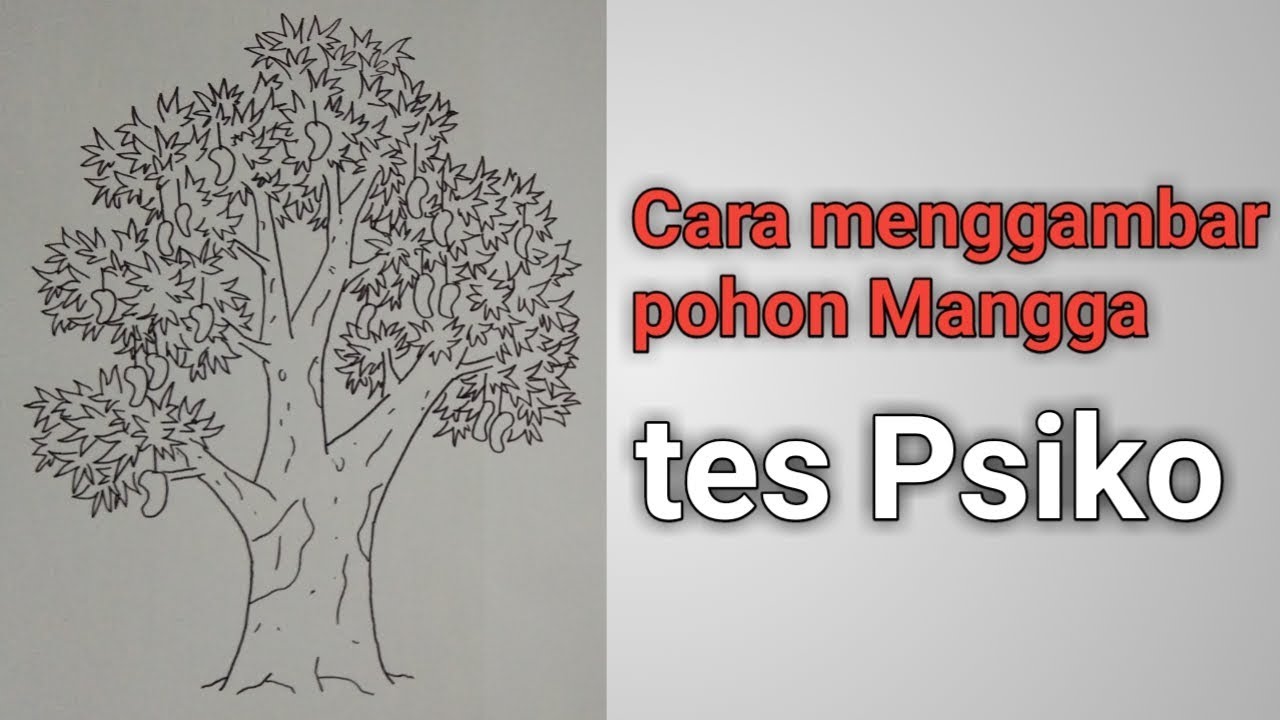 Detail Sketsa Gambar Pohon Mangga Nomer 6