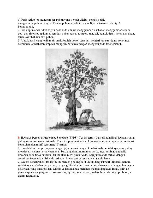 Detail Sketsa Gambar Pohon Nangka Nomer 22