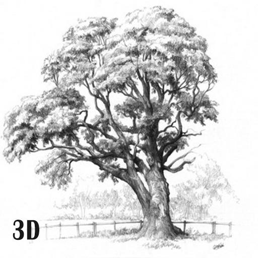 Detail Sketsa Gambar Pohon Nangka Nomer 36