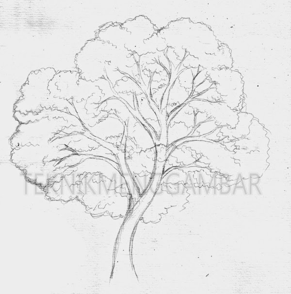 Detail Sketsa Gambar Ranting Nomer 51