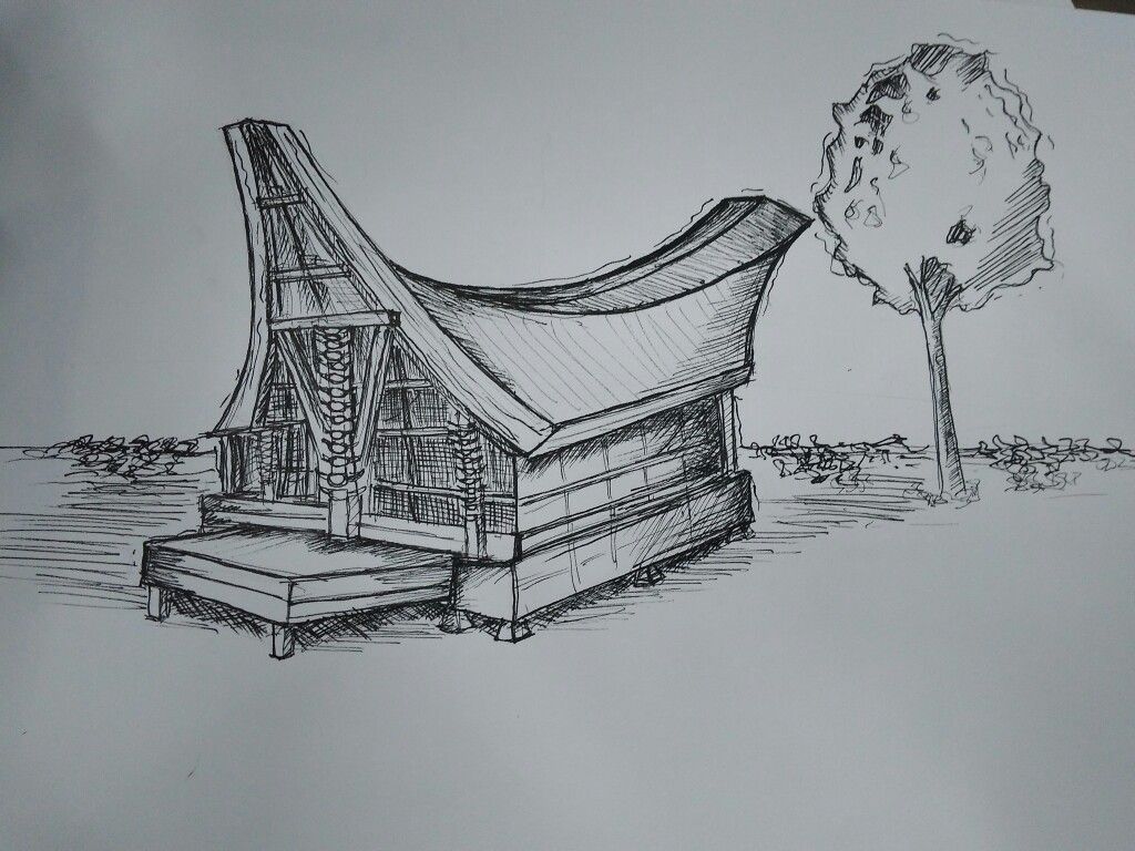 Detail Sketsa Gambar Rumah Adat Toraja Nomer 3