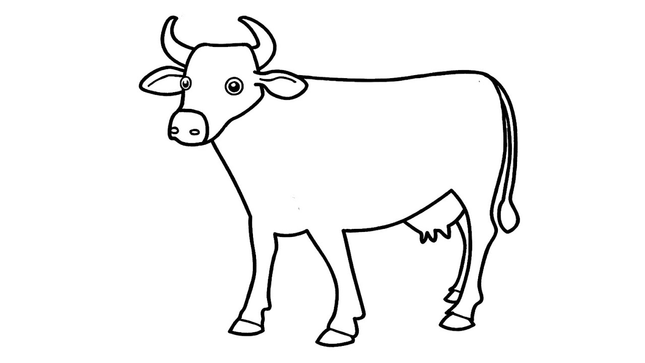 Detail Sketsa Gambar Sapi Nomer 2