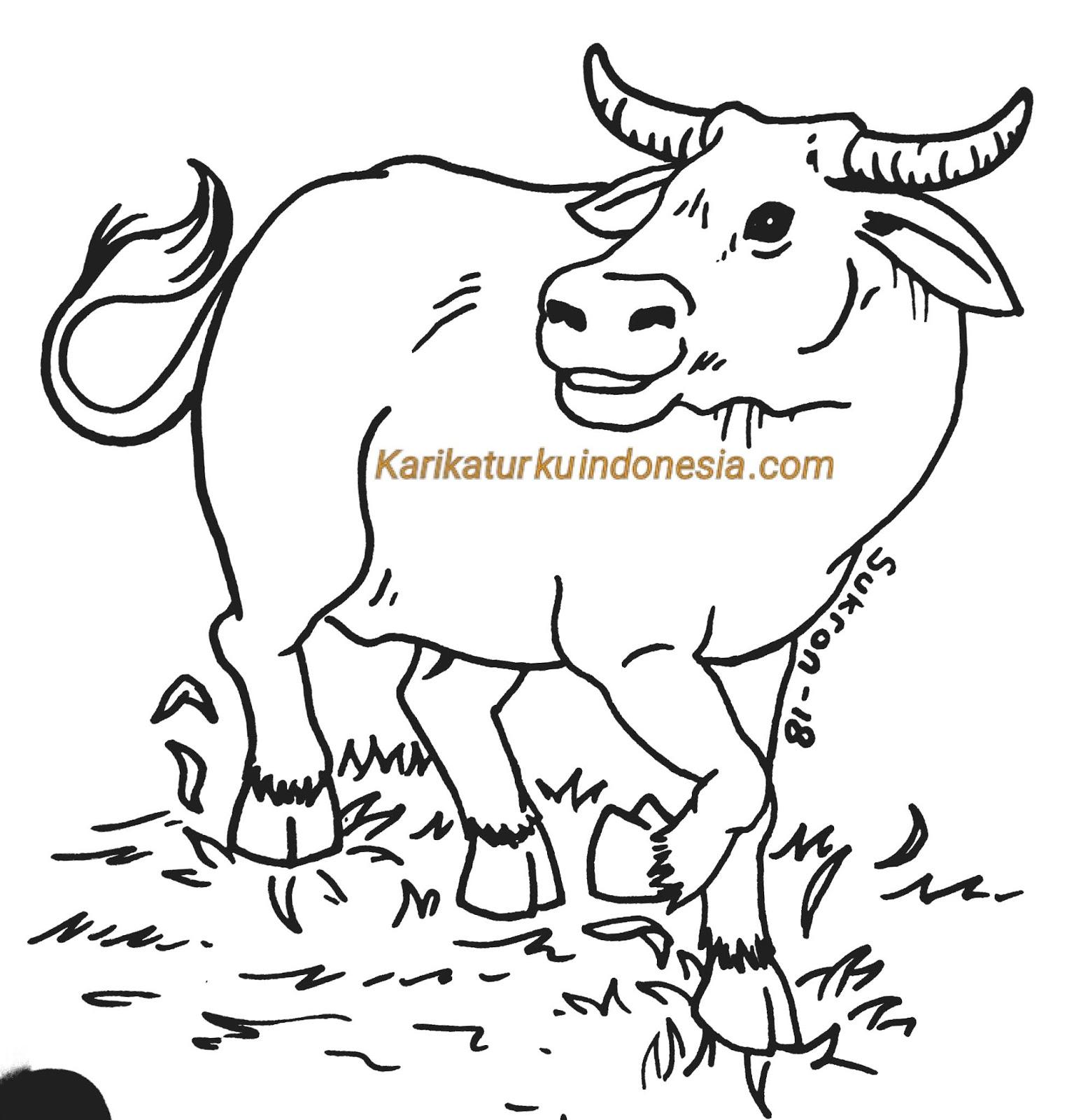 Detail Sketsa Gambar Sapi Makan Rumput Nomer 7