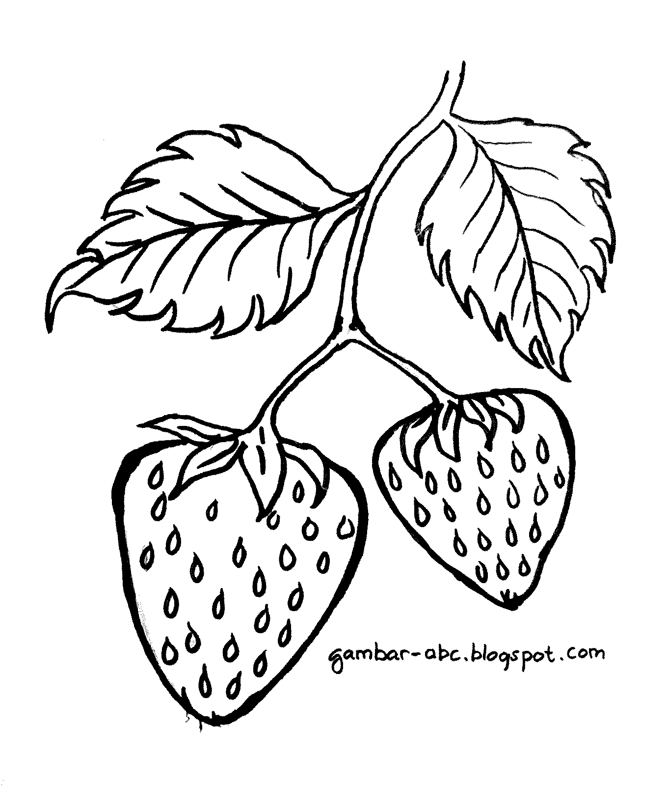 Detail Sketsa Gambar Strawberry Nomer 6