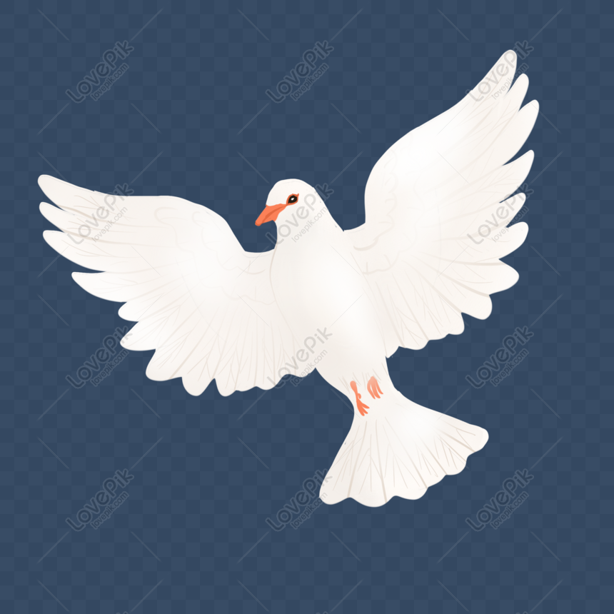 Detail White Pigeon Png Nomer 33