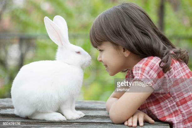 Detail White Rabbit Pic Nomer 35