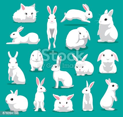Detail White Rabbit Pic Nomer 38