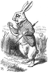 Detail White Rabbit Pic Nomer 44