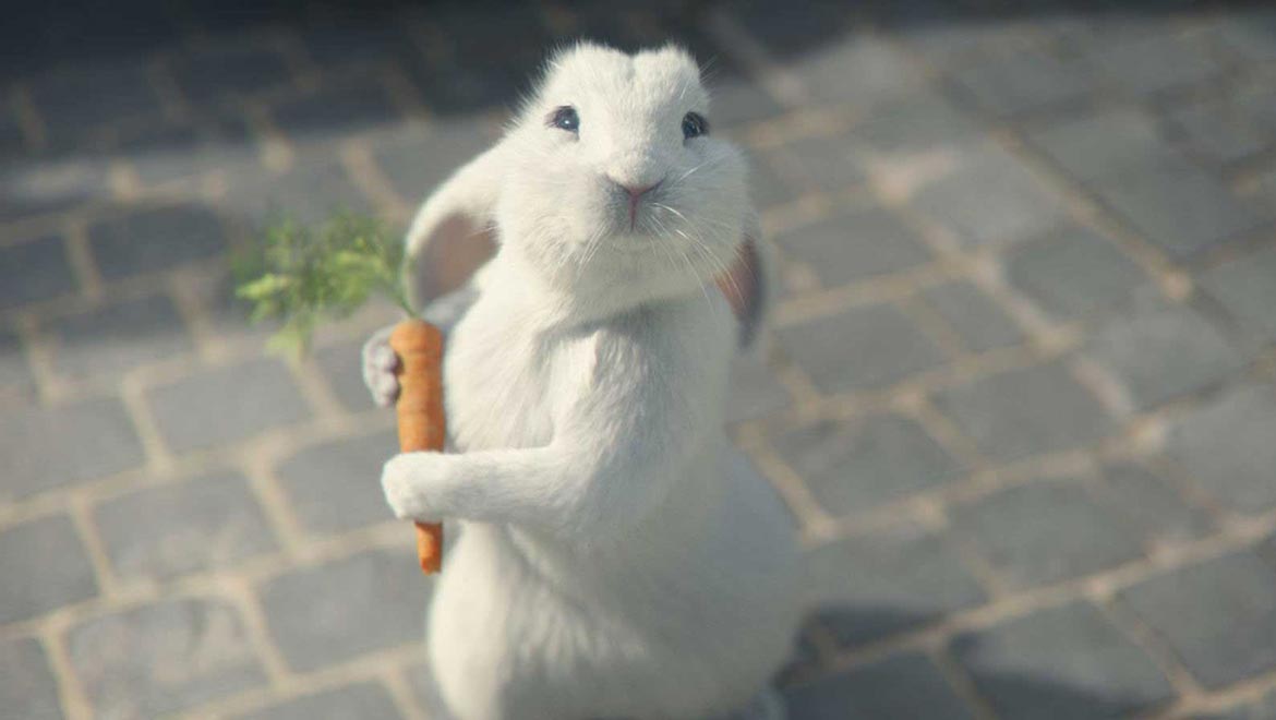 Detail White Rabbit Pic Nomer 55
