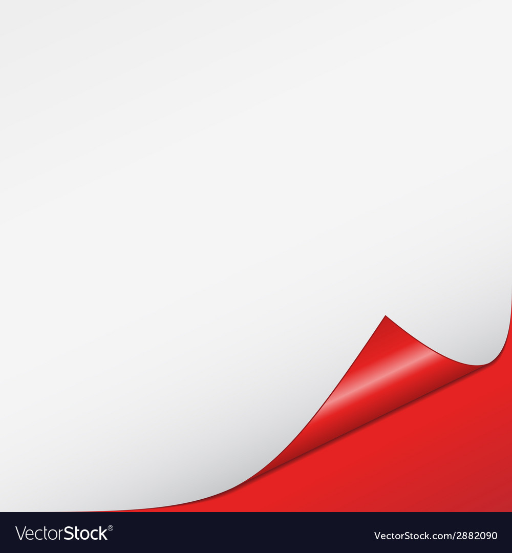 Detail White Red Background Nomer 3