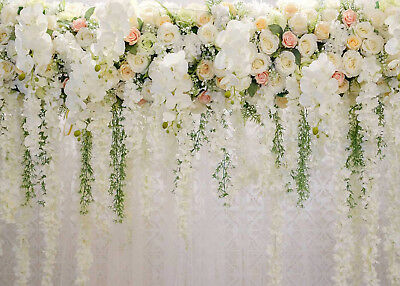 Detail White Rose Background Nomer 26