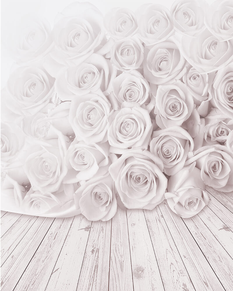 Detail White Rose Background Nomer 40