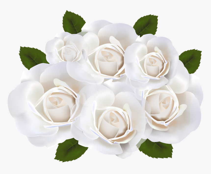 Detail White Rose Background Nomer 53