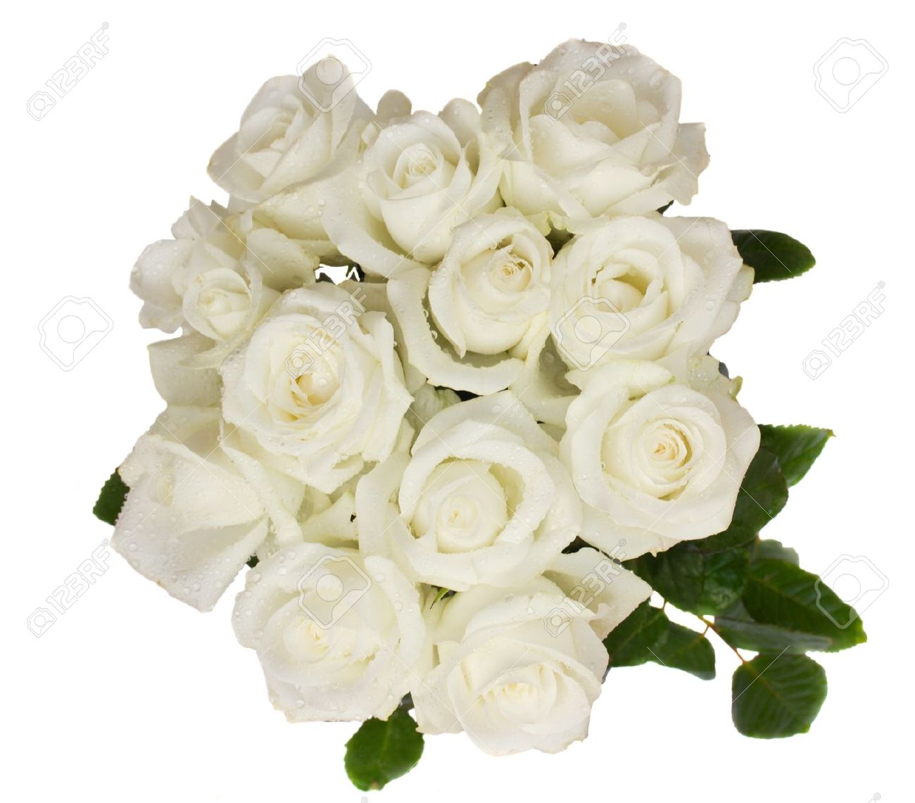 Detail White Rose Bouquet Images Nomer 42