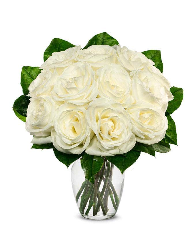 Detail White Rose Flower Nomer 9