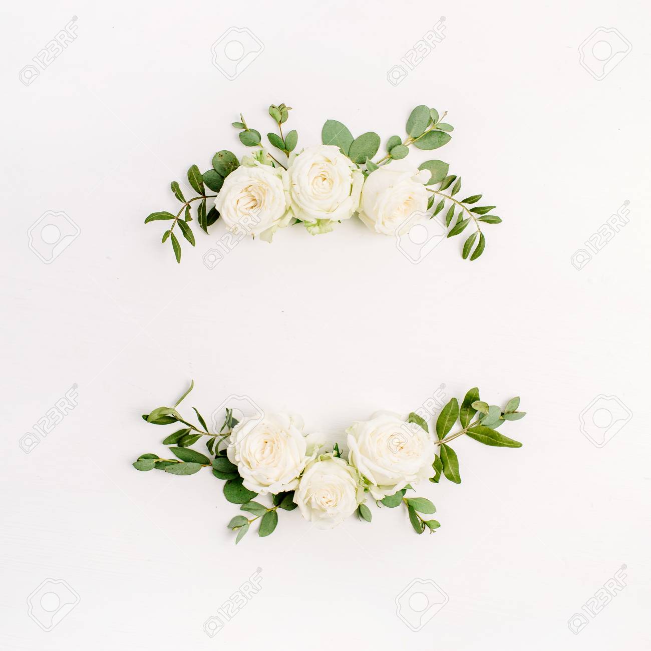 Detail White Rose Flower Images Nomer 17