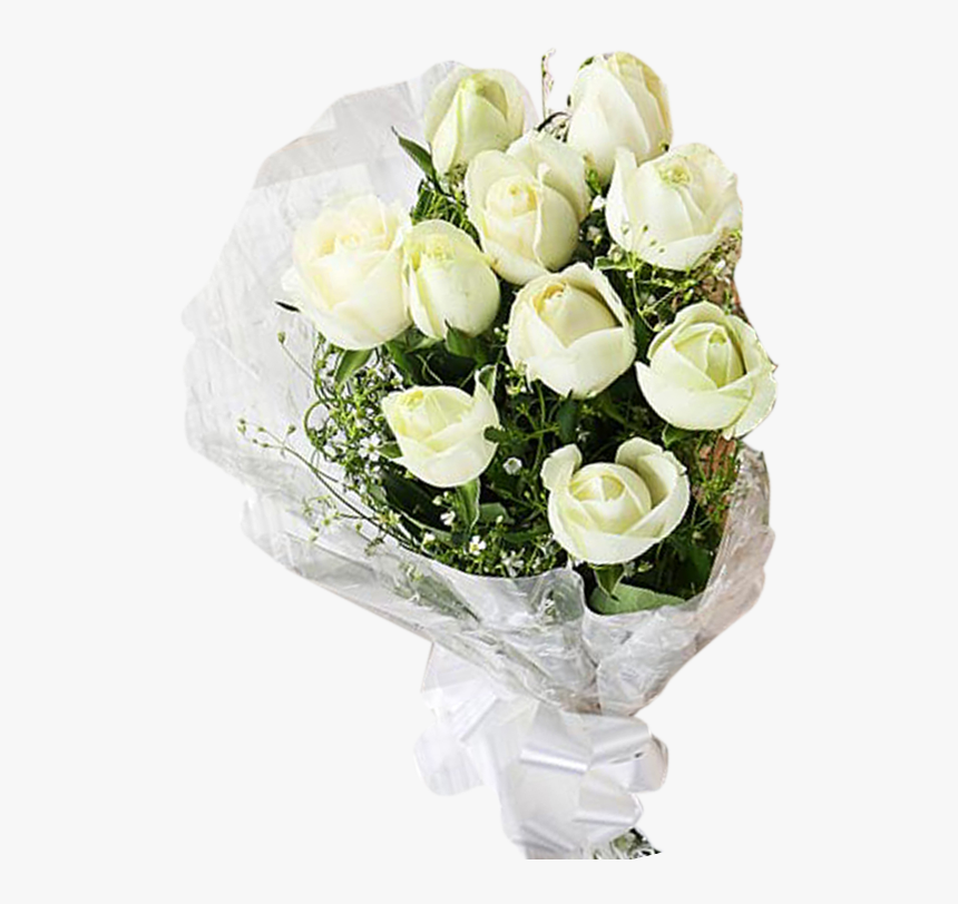 Detail White Rose Hd Nomer 52