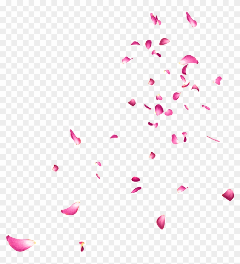 Detail White Rose Petals Png Nomer 24