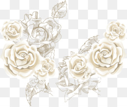 Detail White Rose Petals Png Nomer 46