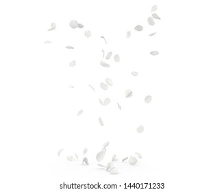 Download White Rose Petals Png Nomer 8