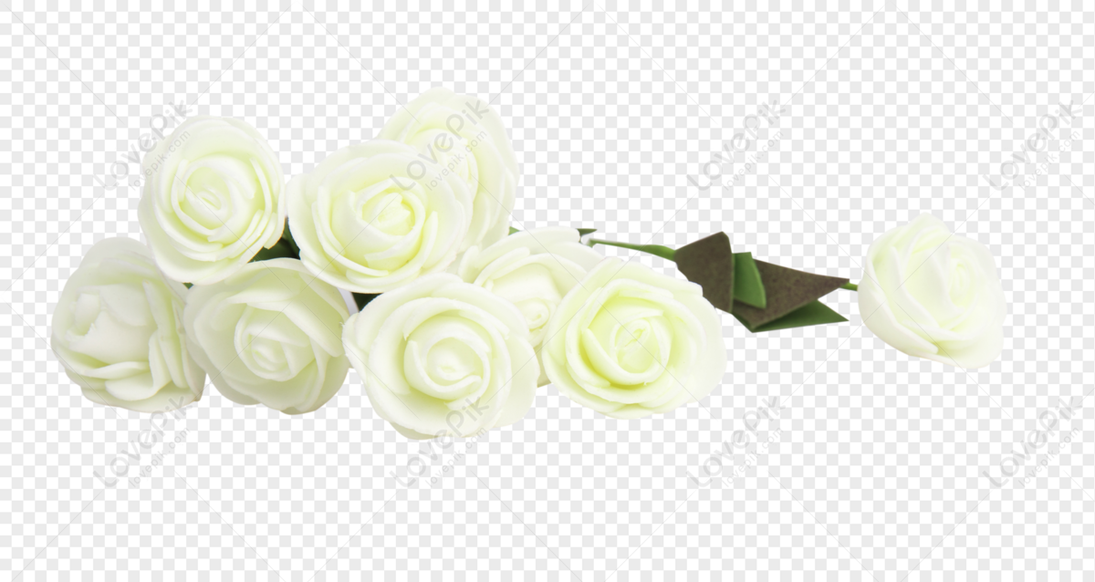 Detail White Rose Png Nomer 44