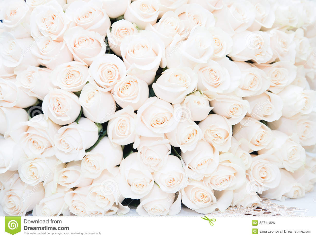 Detail White Roses Background Nomer 17