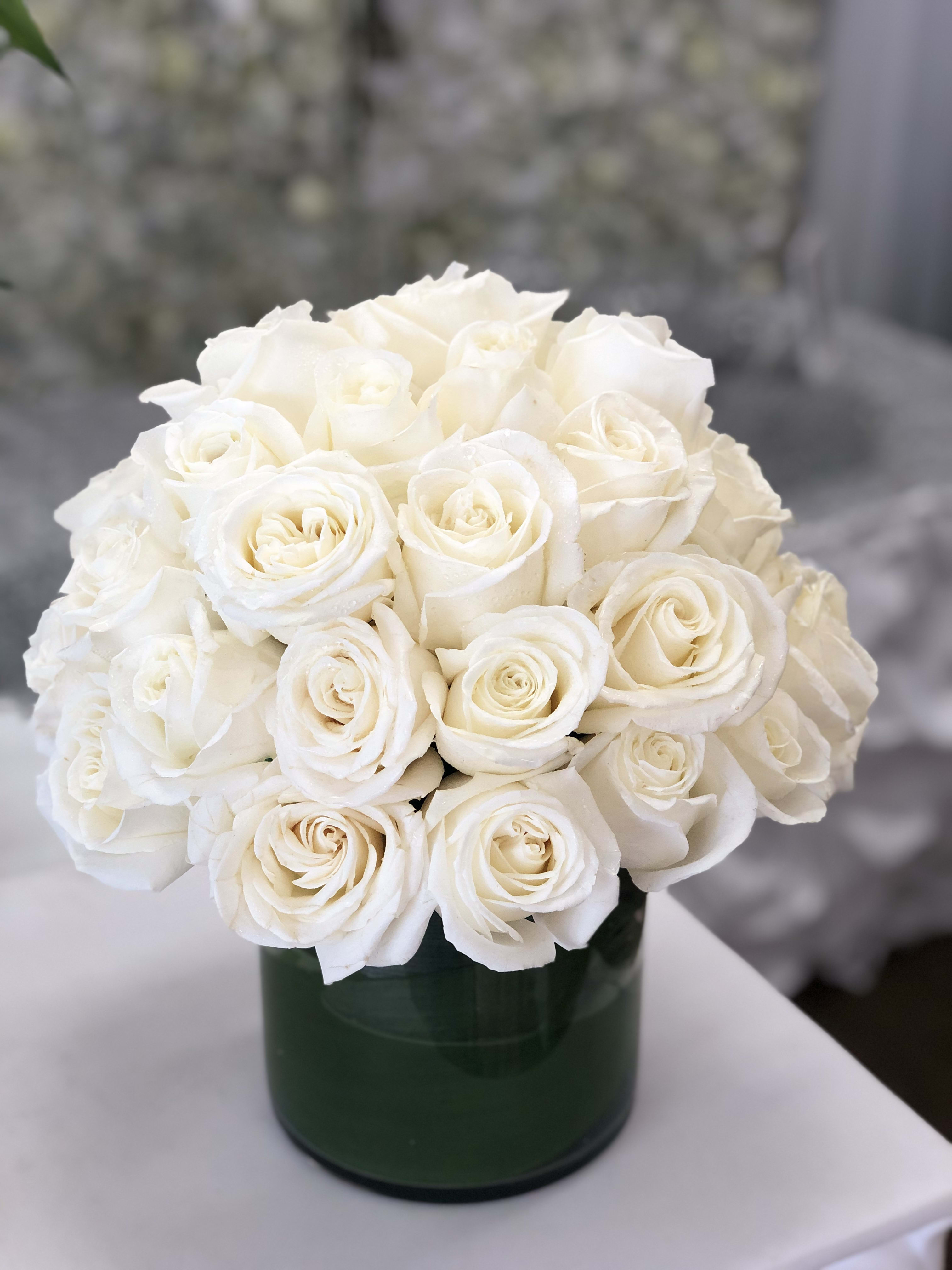 Detail White Roses Pictures Nomer 5