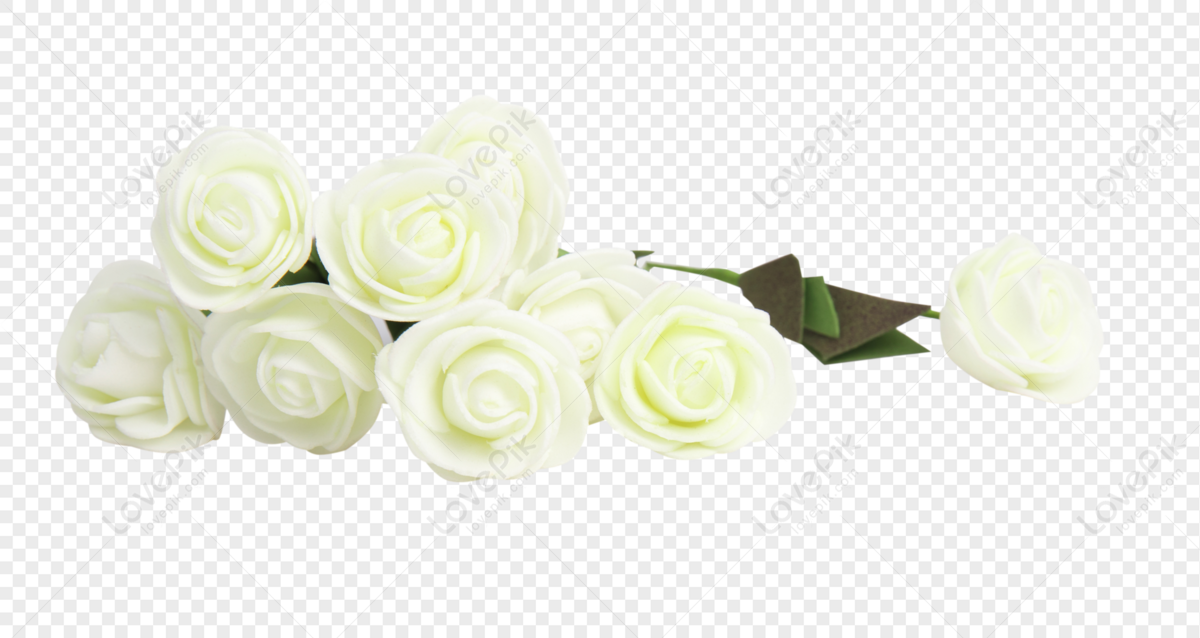 Detail White Roses Png Nomer 24