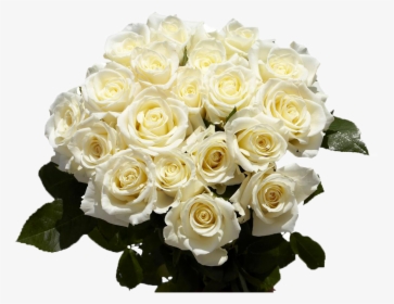 Detail White Roses Png Nomer 46