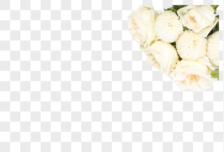 Detail White Roses Transparent Background Nomer 22