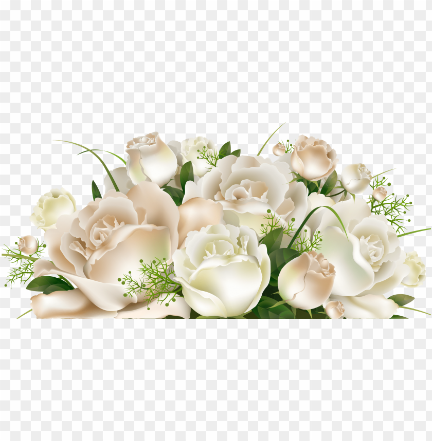 Detail White Roses Transparent Background Nomer 8