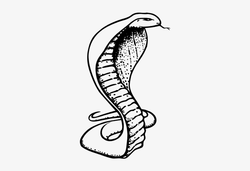 Detail White Snake Png Nomer 53