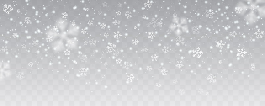 Detail White Snow Background Nomer 56
