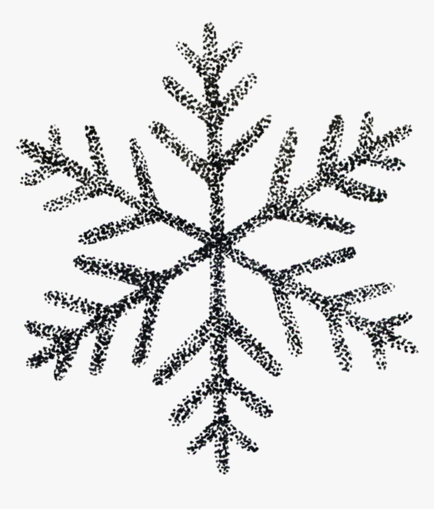 Detail White Snowflake Images Nomer 47