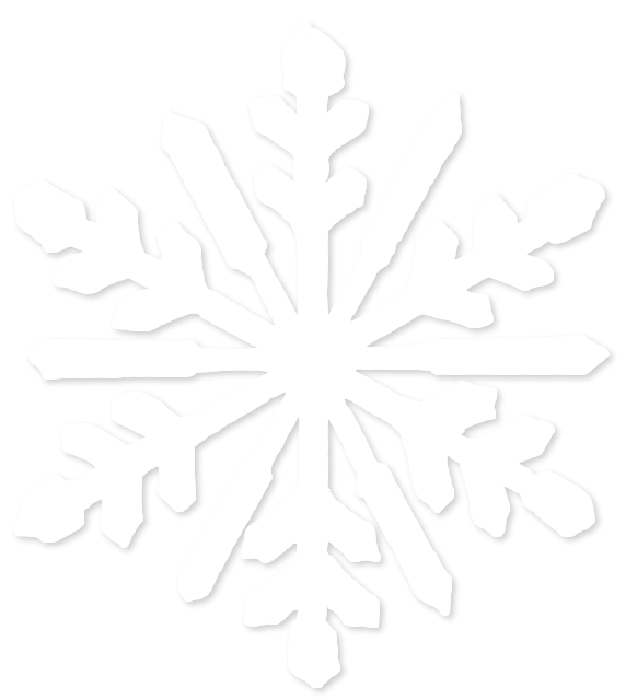 Detail White Snowflake Transparent Nomer 37