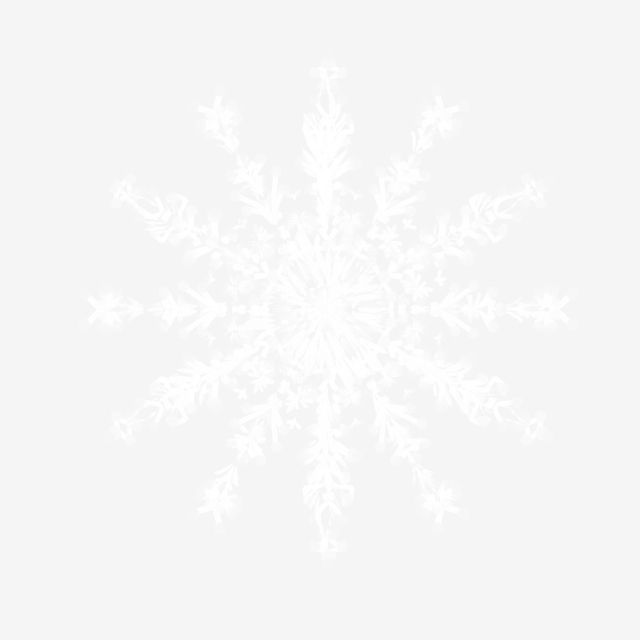 Detail White Snowflake Transparent Nomer 53