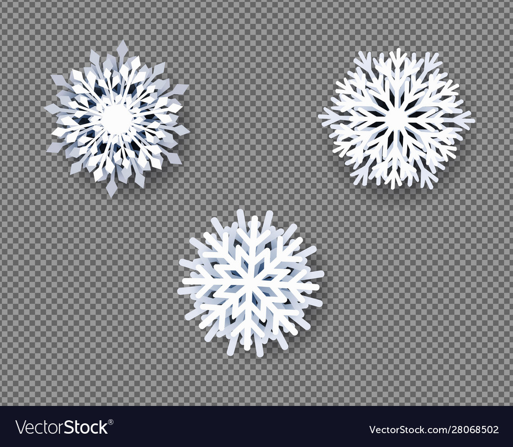 Detail White Snowflakes No Background Nomer 31