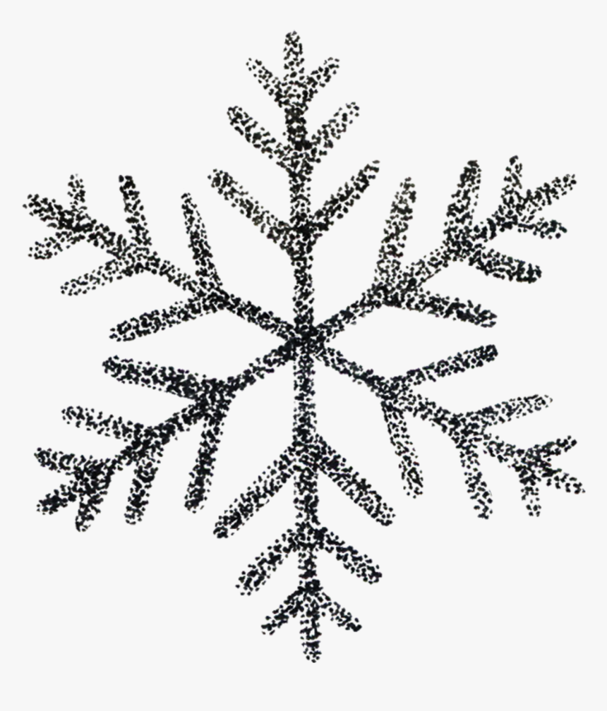Detail White Snowflakes No Background Nomer 52