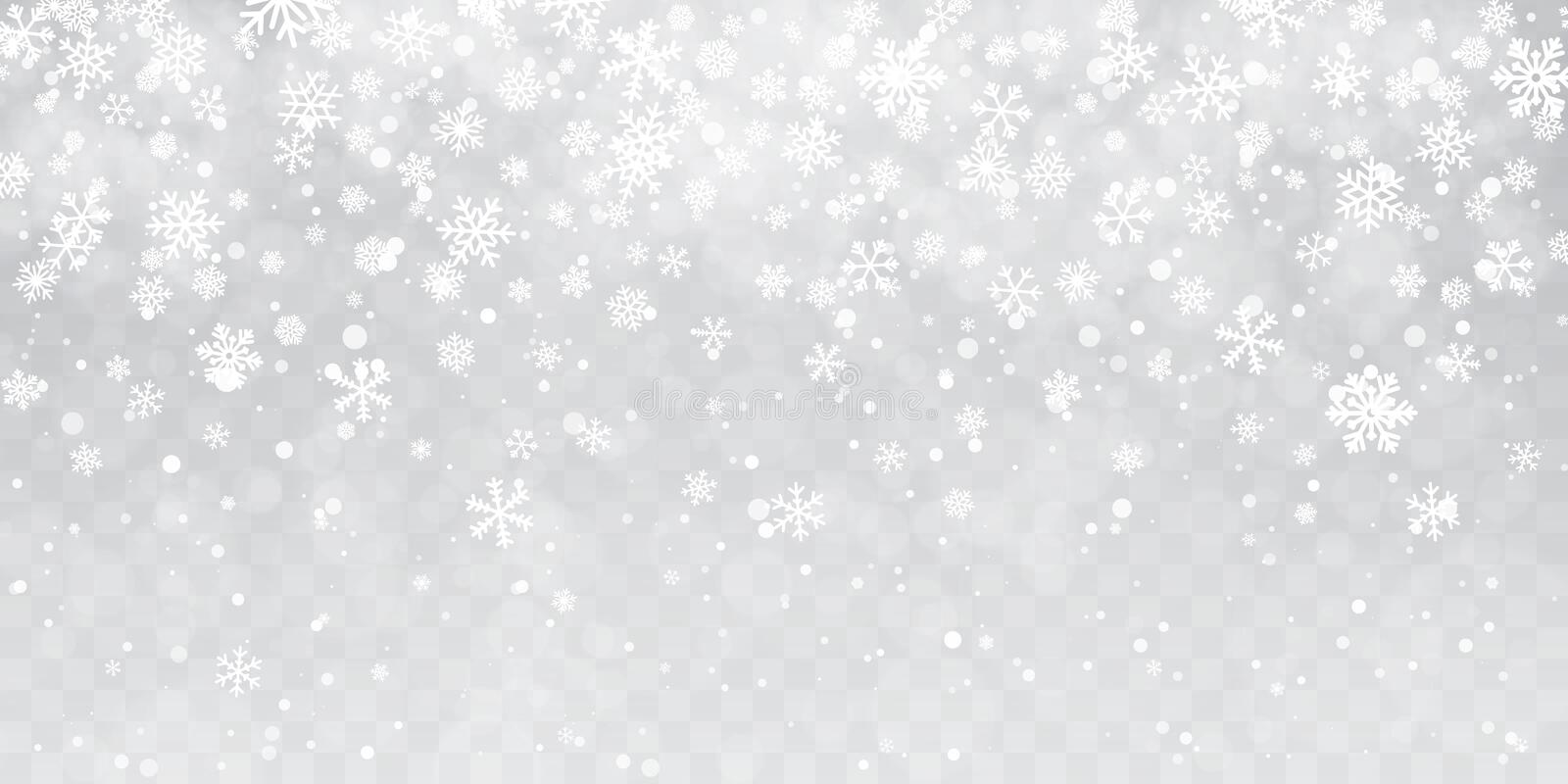 Detail White Snowflakes Transparent Background Nomer 15