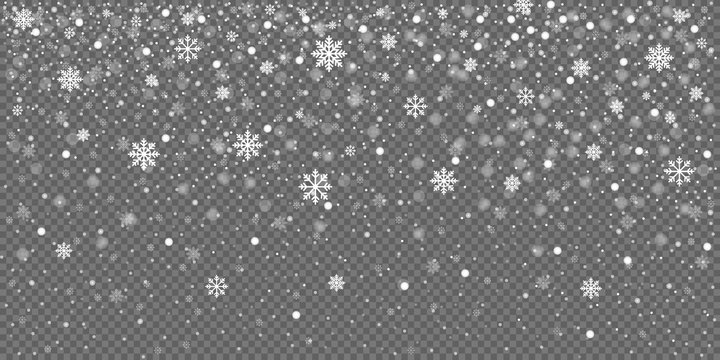 Detail White Snowflakes Transparent Background Nomer 26