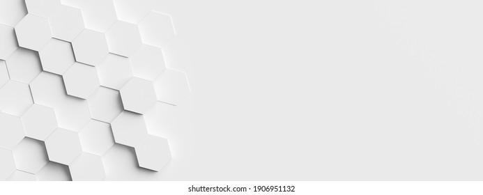 Detail White Solid Background Nomer 20