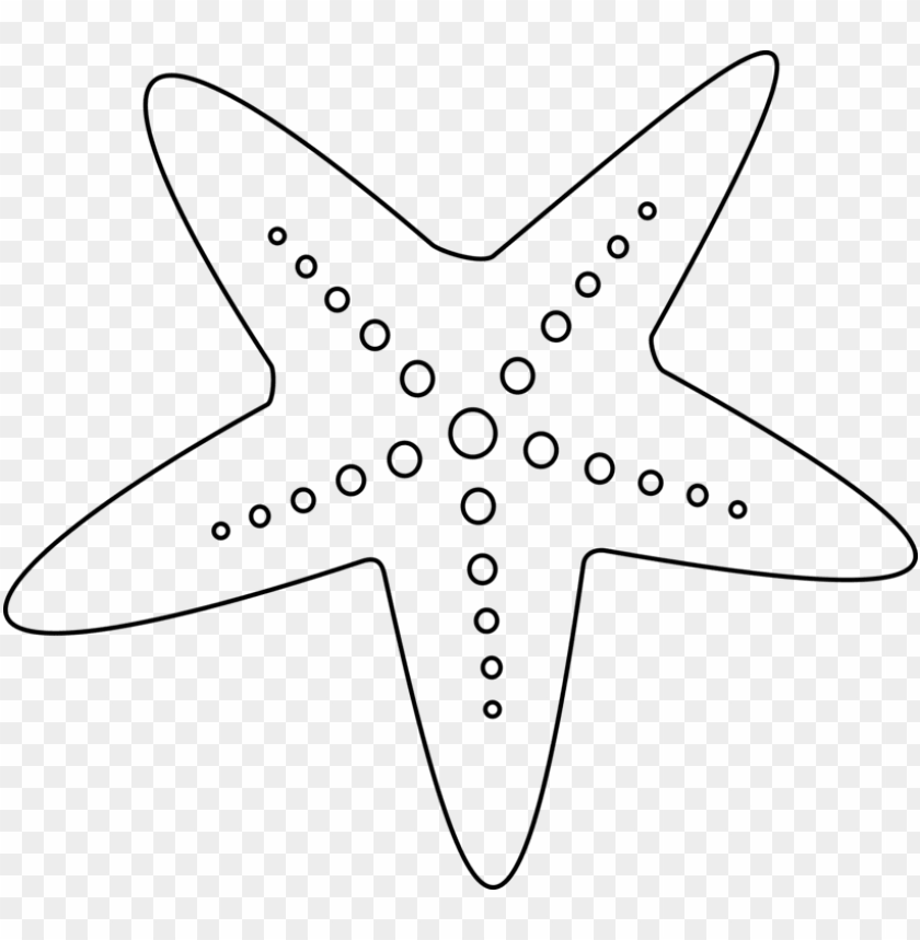 Detail White Starfish Png Nomer 13