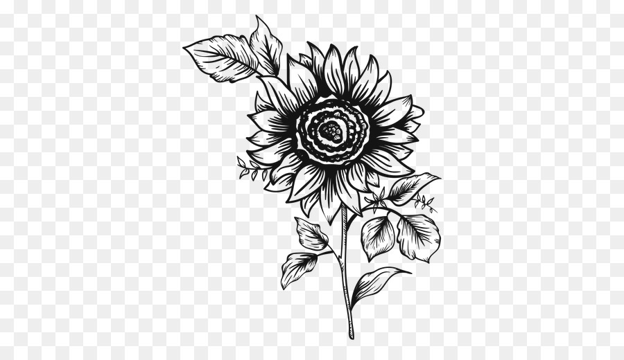 Detail White Sunflower Png Nomer 50