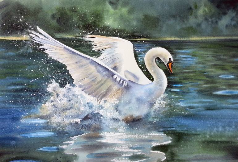 Detail White Swan Images Nomer 31