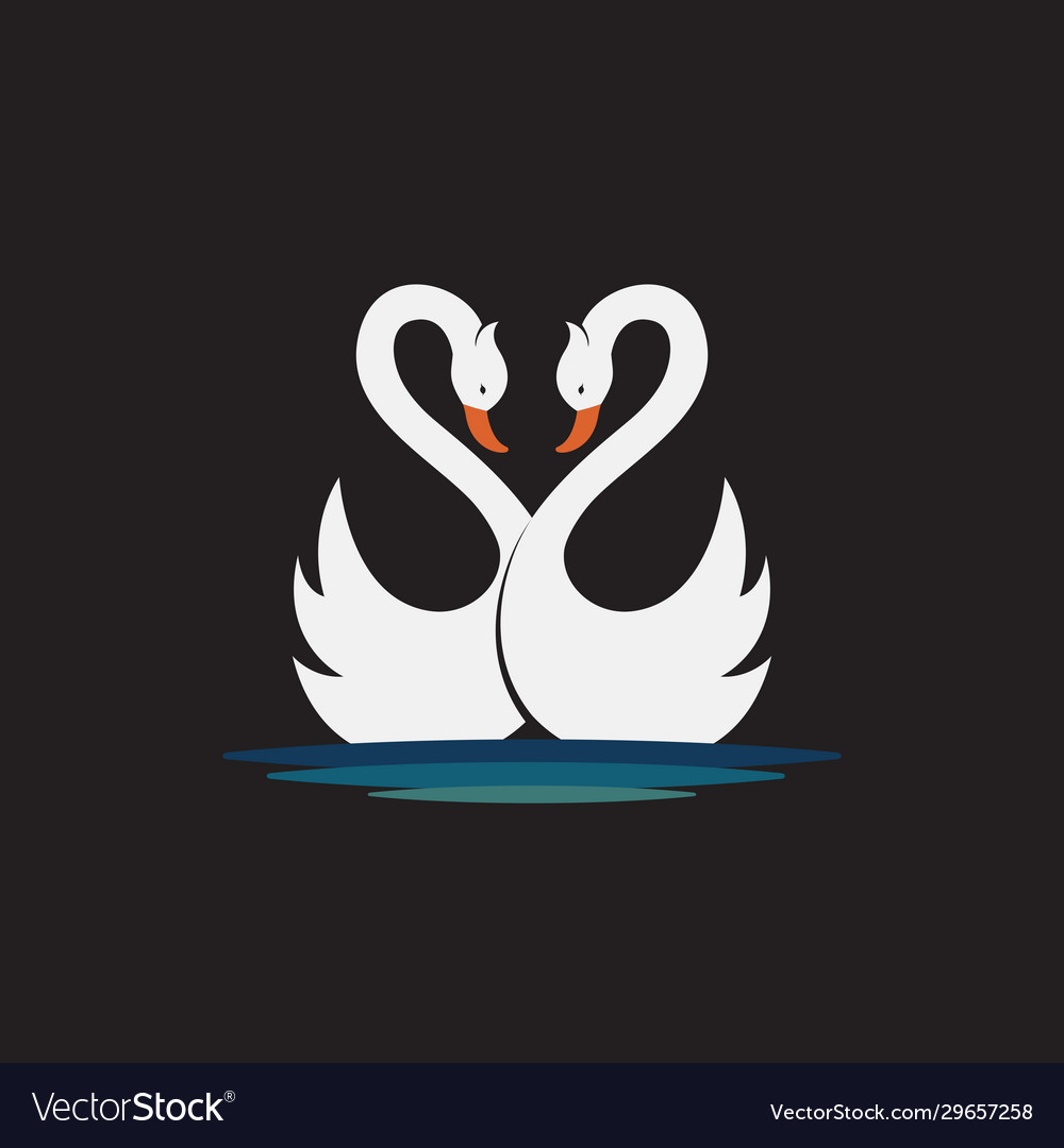 Detail White Swan Images Nomer 36