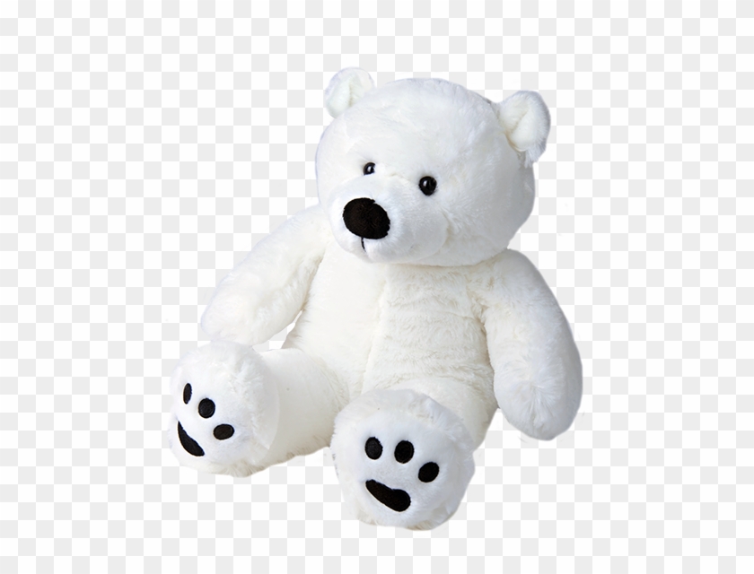 Detail White Teddy Bear Png Nomer 24